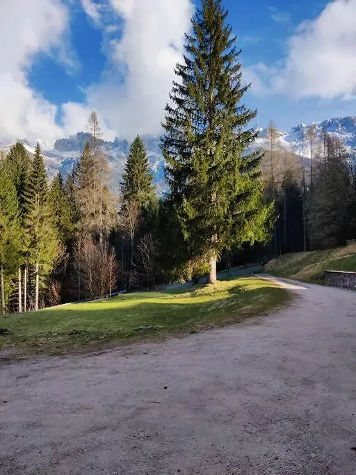 Falcade Dolomiti La Quiete Piano Terra Fregona 0*,